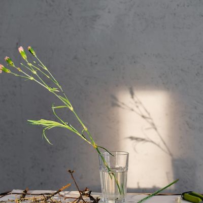 An empty, serene exercise space with a yoga mat and natural light.